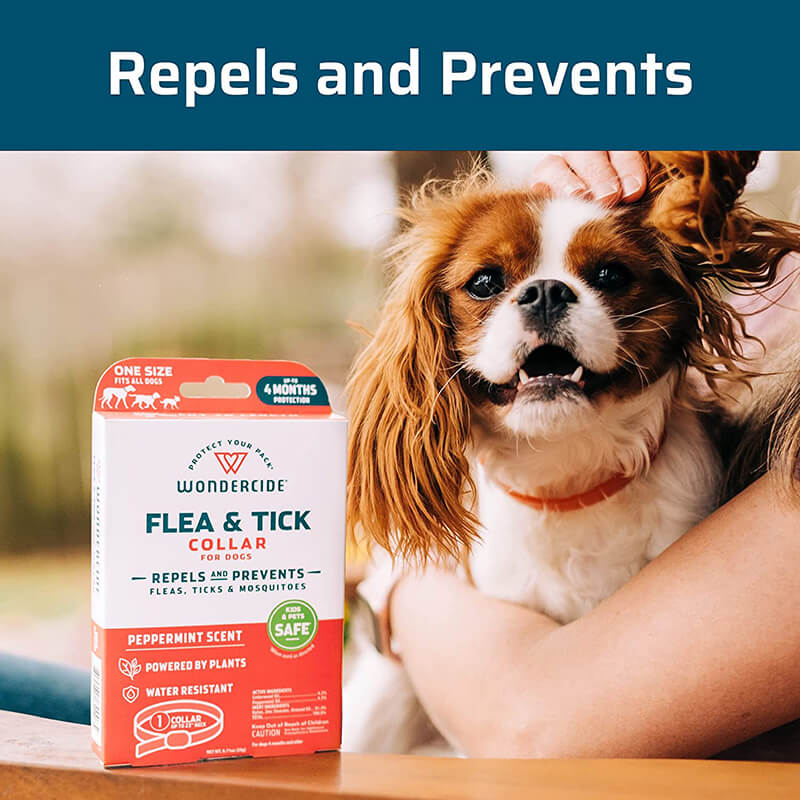 Wondercide Dog Flea & Tick Collar Small/Medium