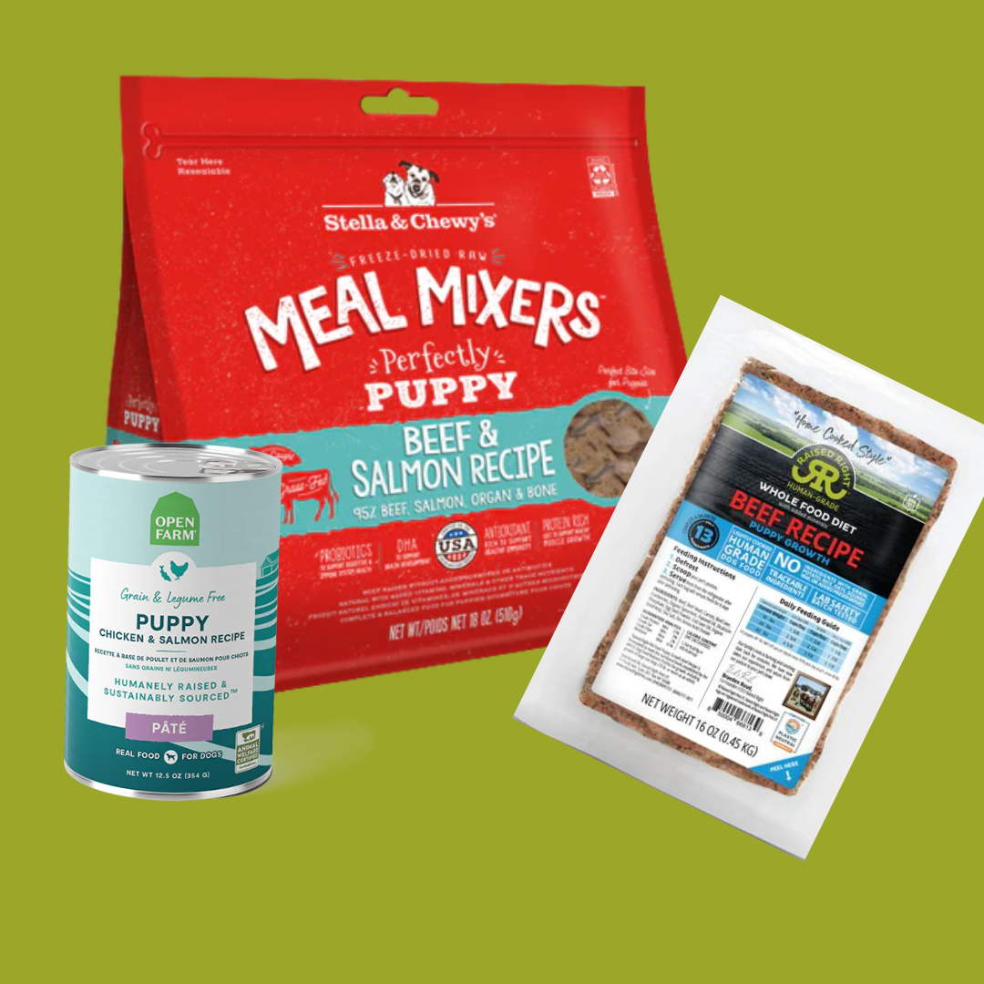 Our Top Picks for Picky Puppies