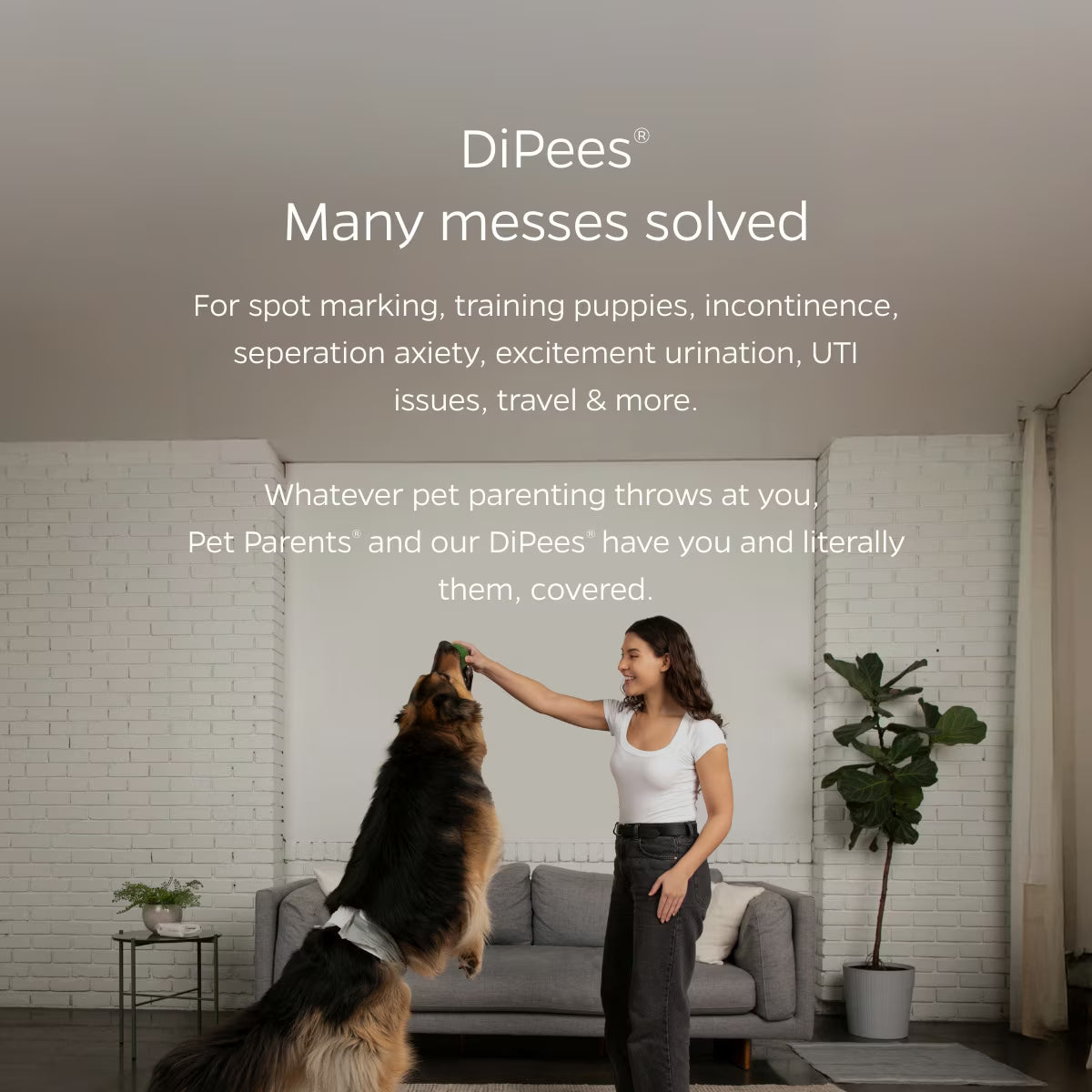 Pet Parents® Dipees™ Disposable Belly Bands