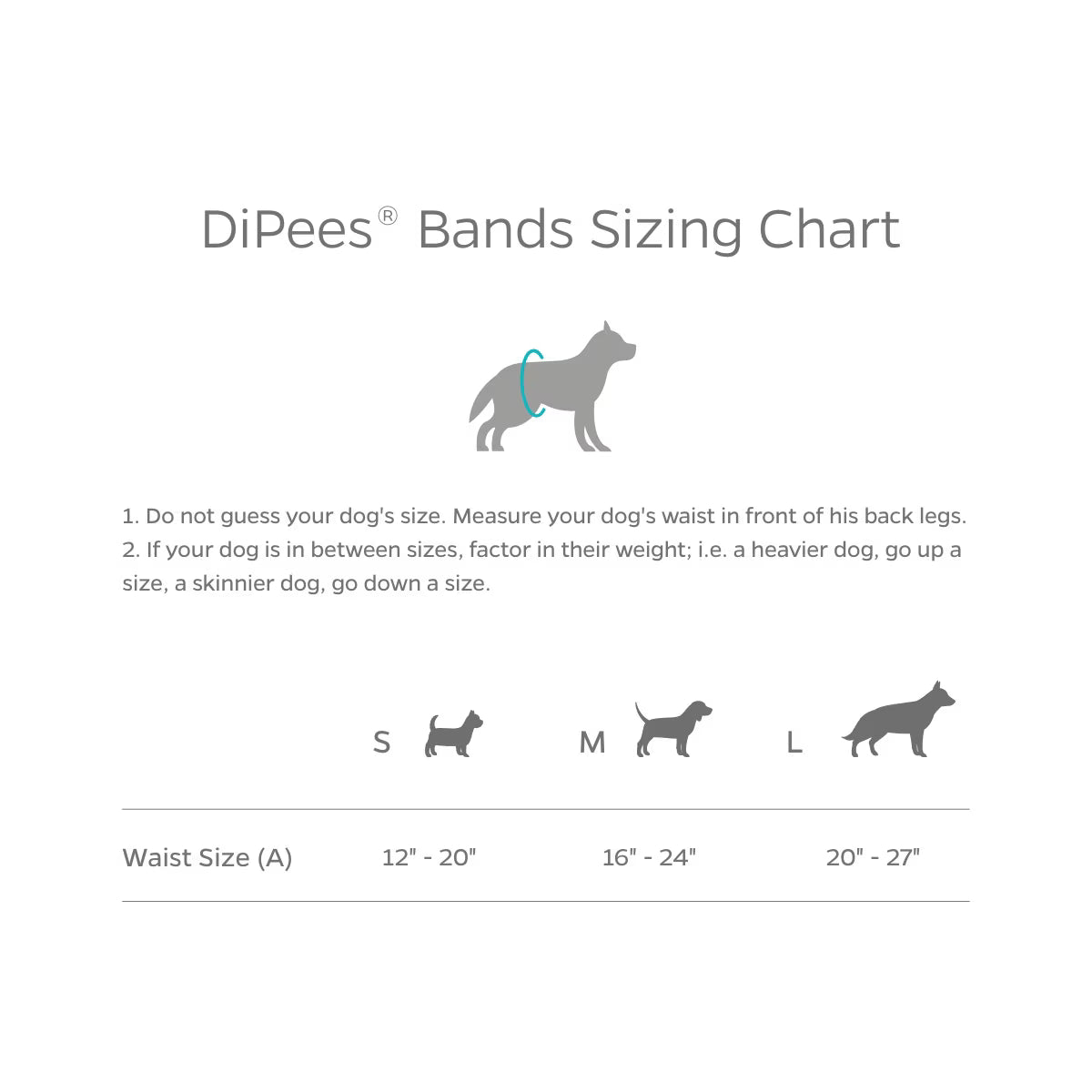 Pet Parents® Dipees™ Disposable Belly Bands
