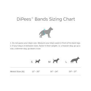 Pet Parents® Dipees™ Disposable Belly Bands