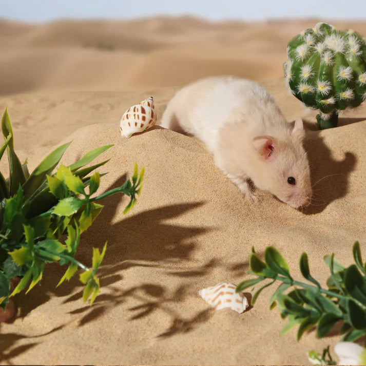 Bucatstate Fine-Grained Hamster Bath Sand