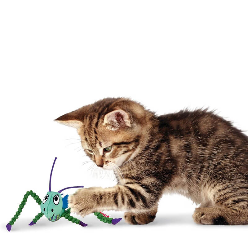Kong Cat Crackles Grasshopper