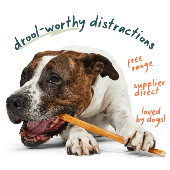 Woof BullySafe Bully Sticks  6"
