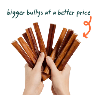 Woof BullySafe Bully Sticks  6"