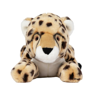 Fluff & Tuff  Kali Cheetah