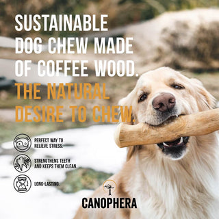 Canophera Coffee Wood Chew Stick
