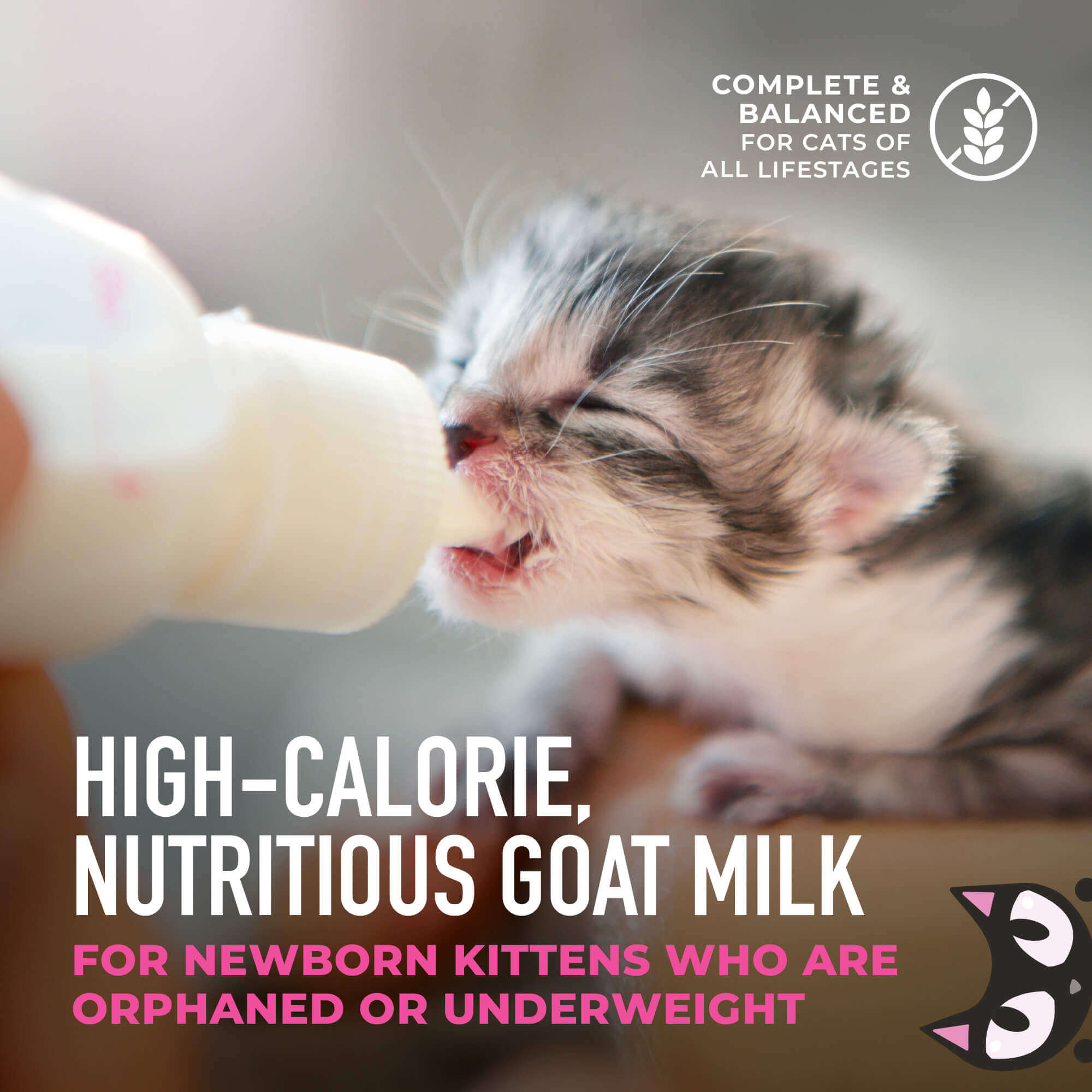 Tiki Cat Baby Milk Replacer with Goat's Milk 6 oz Pouch
