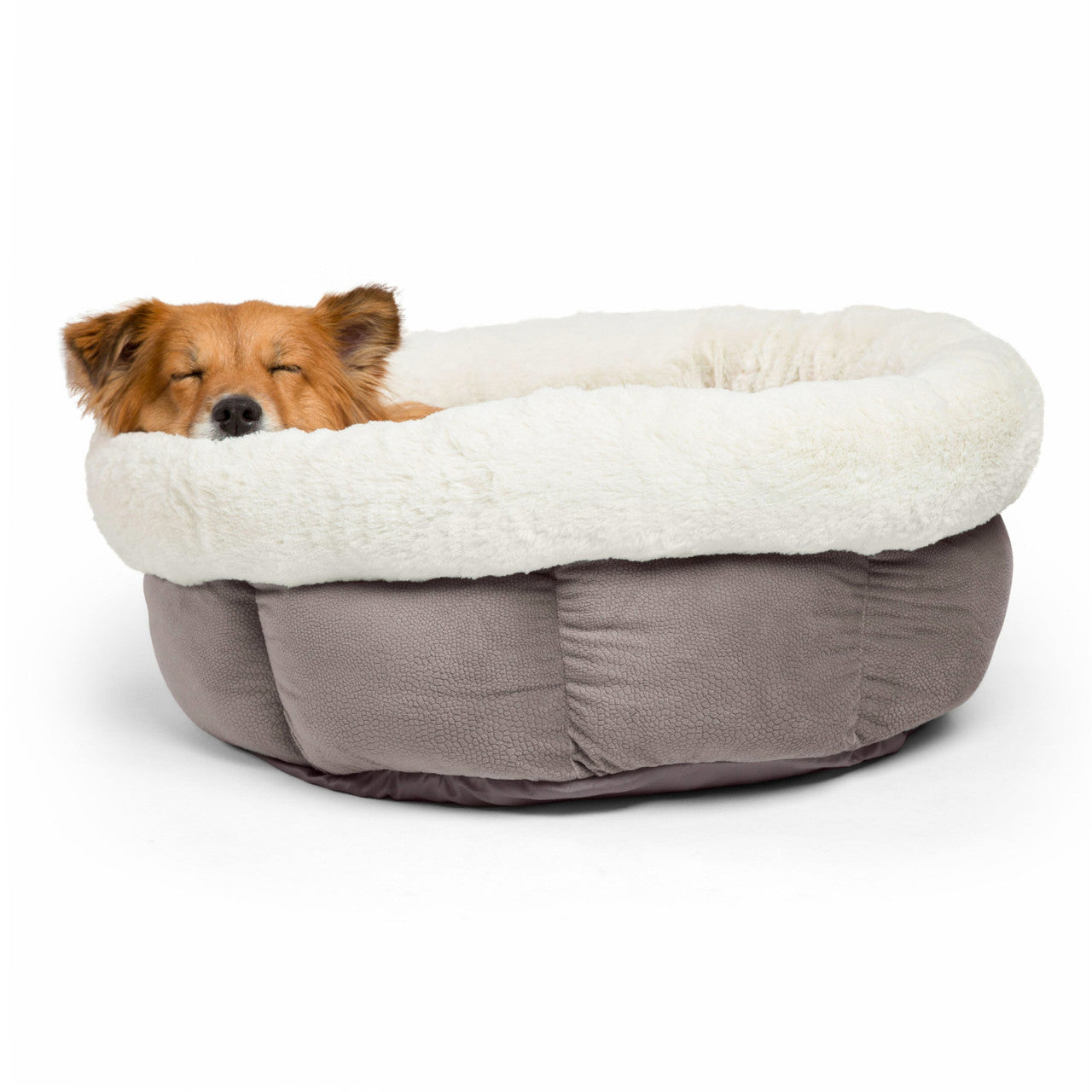 Best Friends by Sheri Cuddle Cup Pet Bed