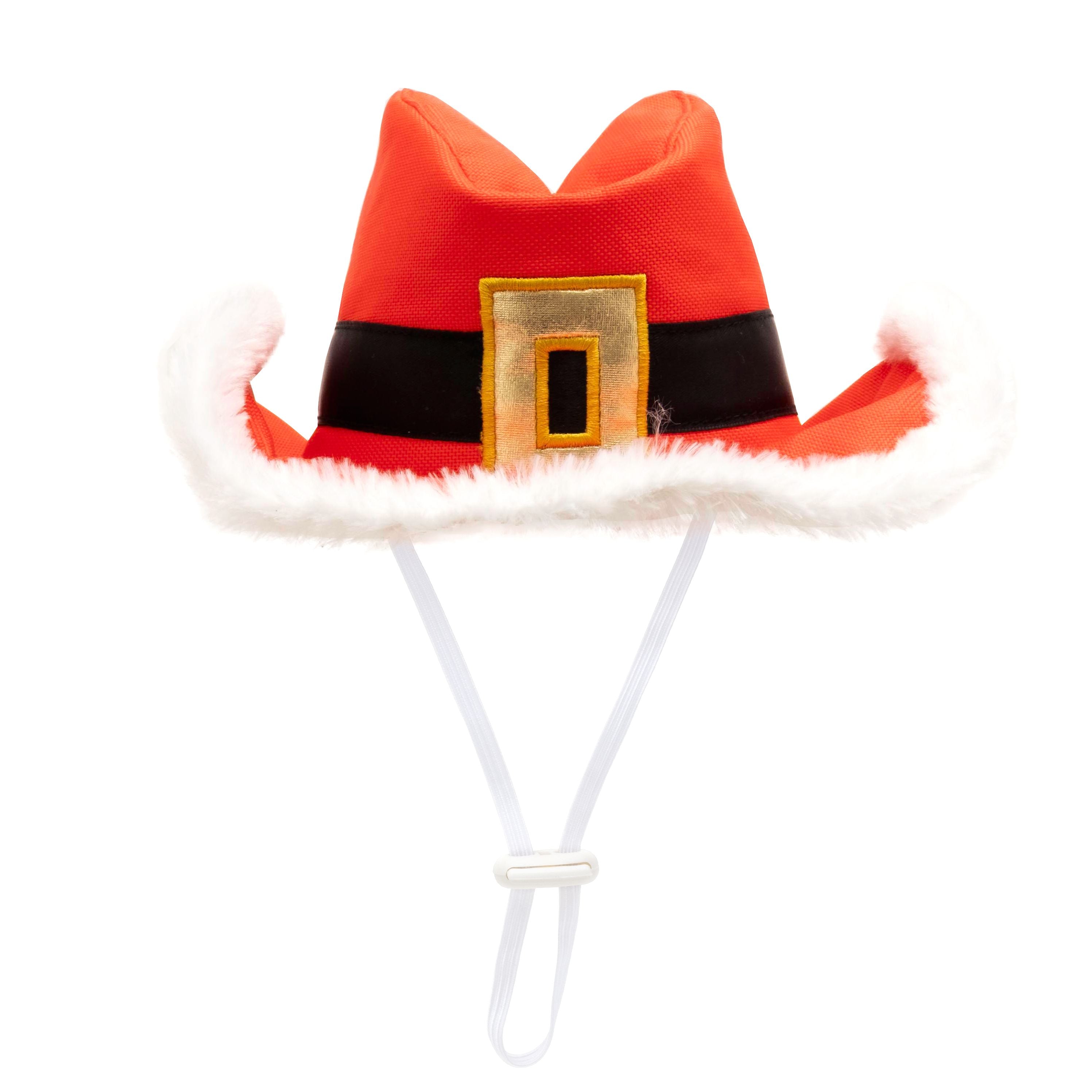 The Worthy Dog Cowboy Christmas Hat