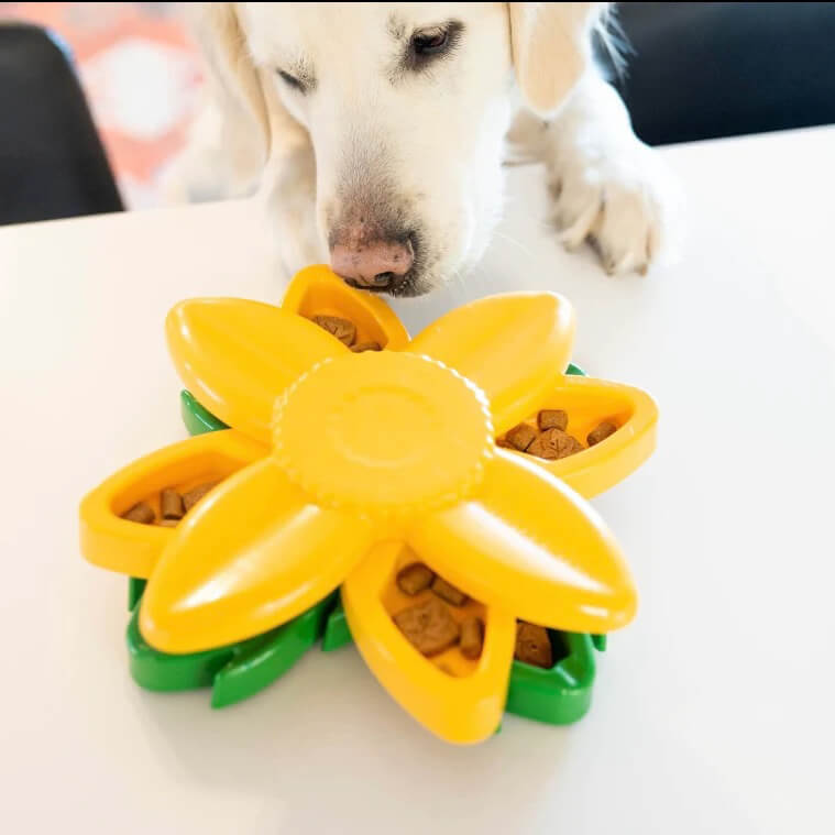 Zippy Paws SmartyPaws Sunflower Puzzler