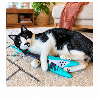 Crochet Kitty Guitar Kicker