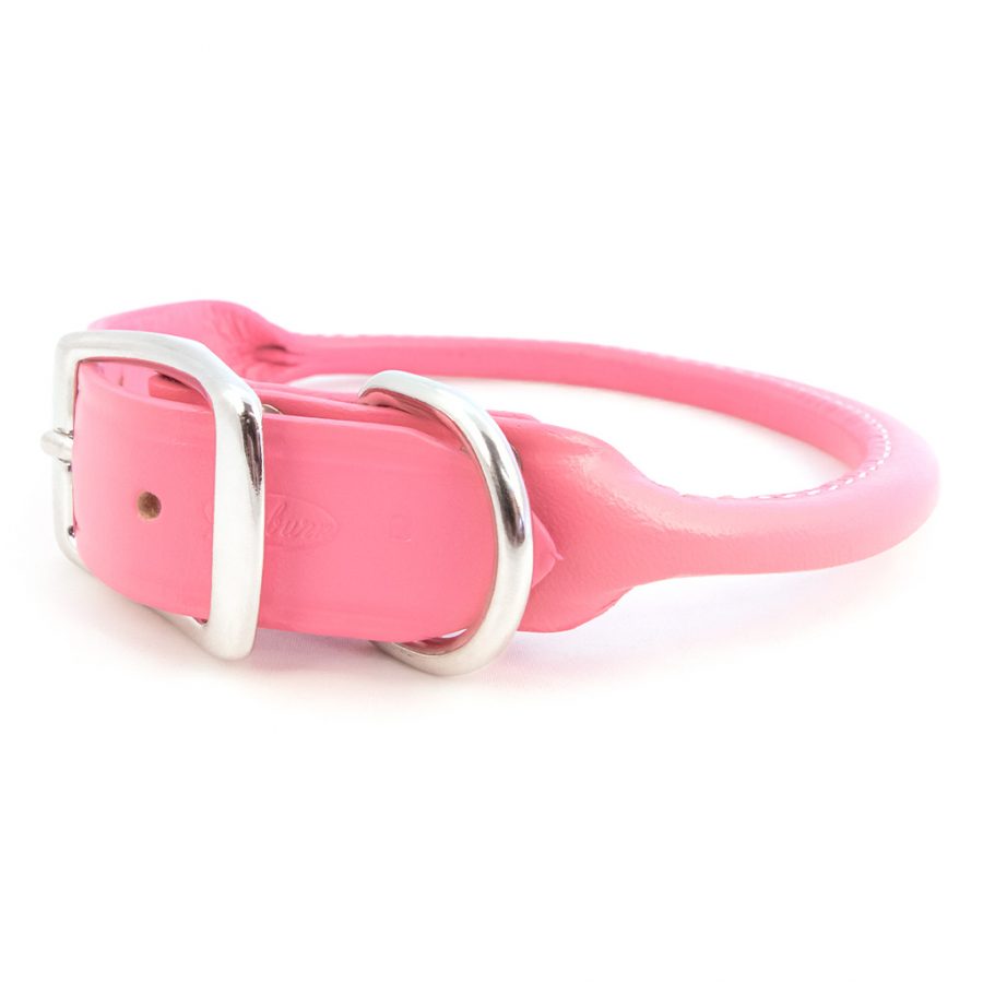 Auburn Leathercrafters Rolled Collar