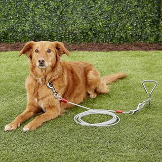 Aspen Pet Dog Tieout 20ft