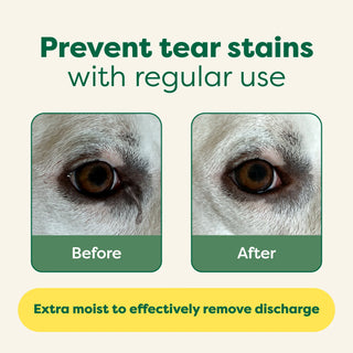 Earth Rated Dog Eye Wipes