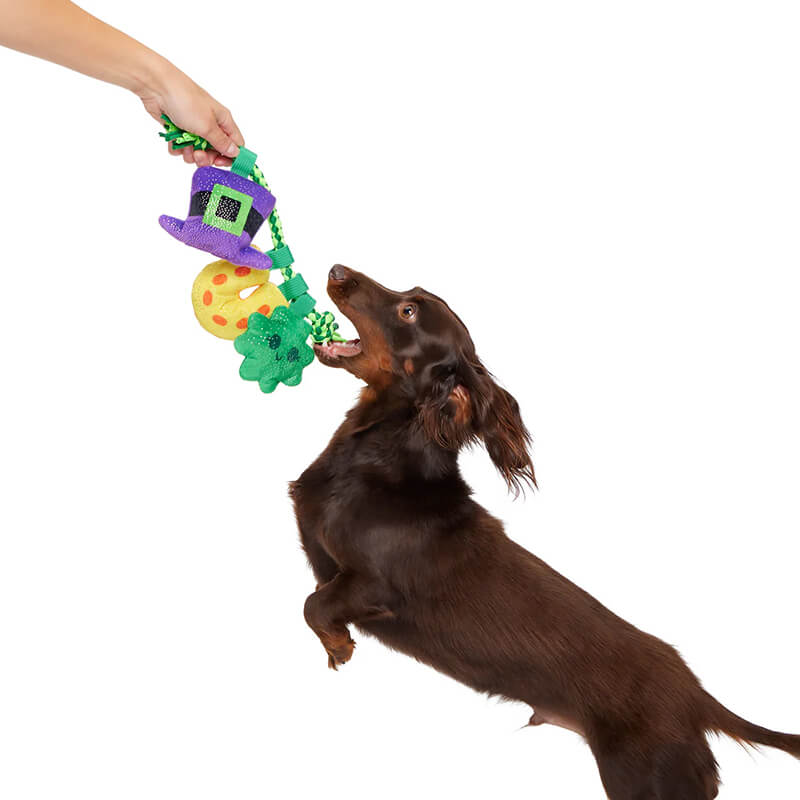 BARK Tuggy Charms Rope Toy