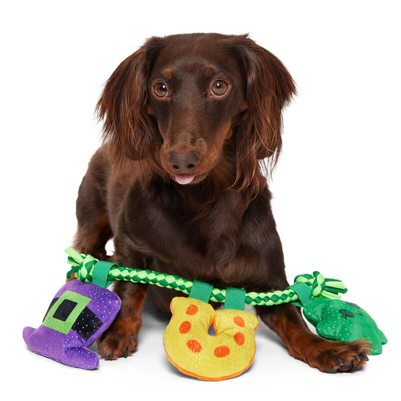 BARK Tuggy Charms Rope Toy