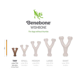Benebone Puppy Pack Bacon Wishbone & Dental Chew