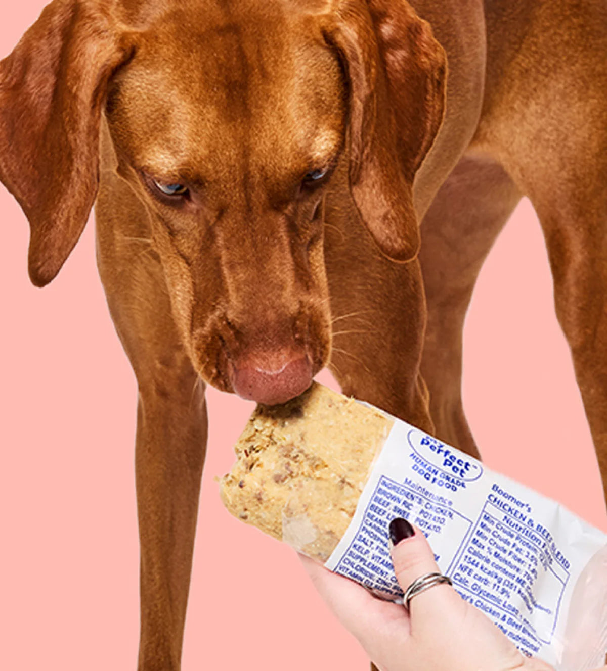 My Perfect Pet gently Cooked Boomer's Chicken & Beef
