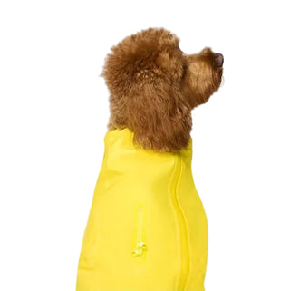 Canada Pooch Waterproof Raincoat