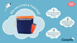 Coachi Pro Train & Treat Bag w/Draw String Closure