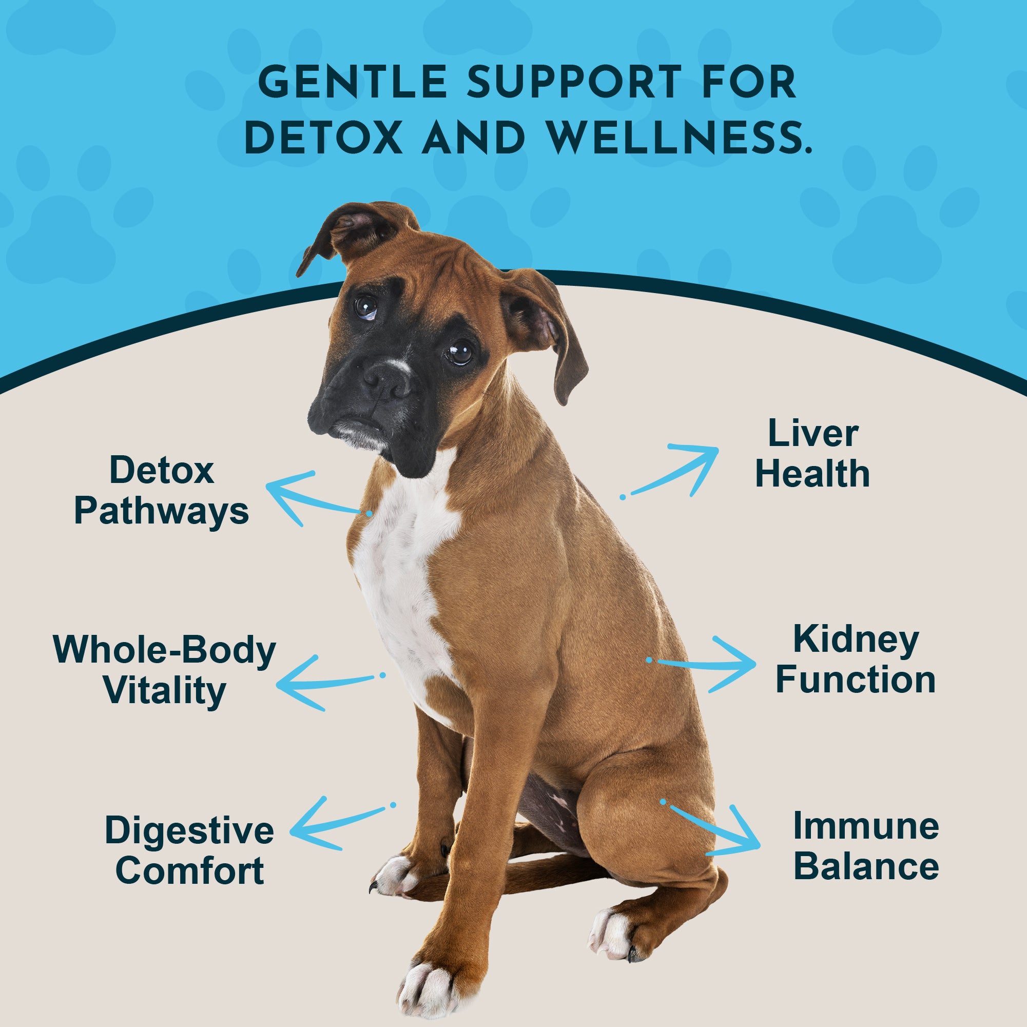 Animal Essentials Detox Blend Liver Support for Dogs & Cats