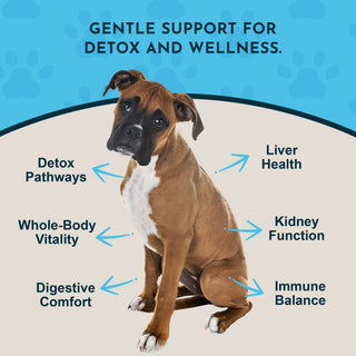Animal Essentials Detox Blend Liver Support for Dogs & Cats