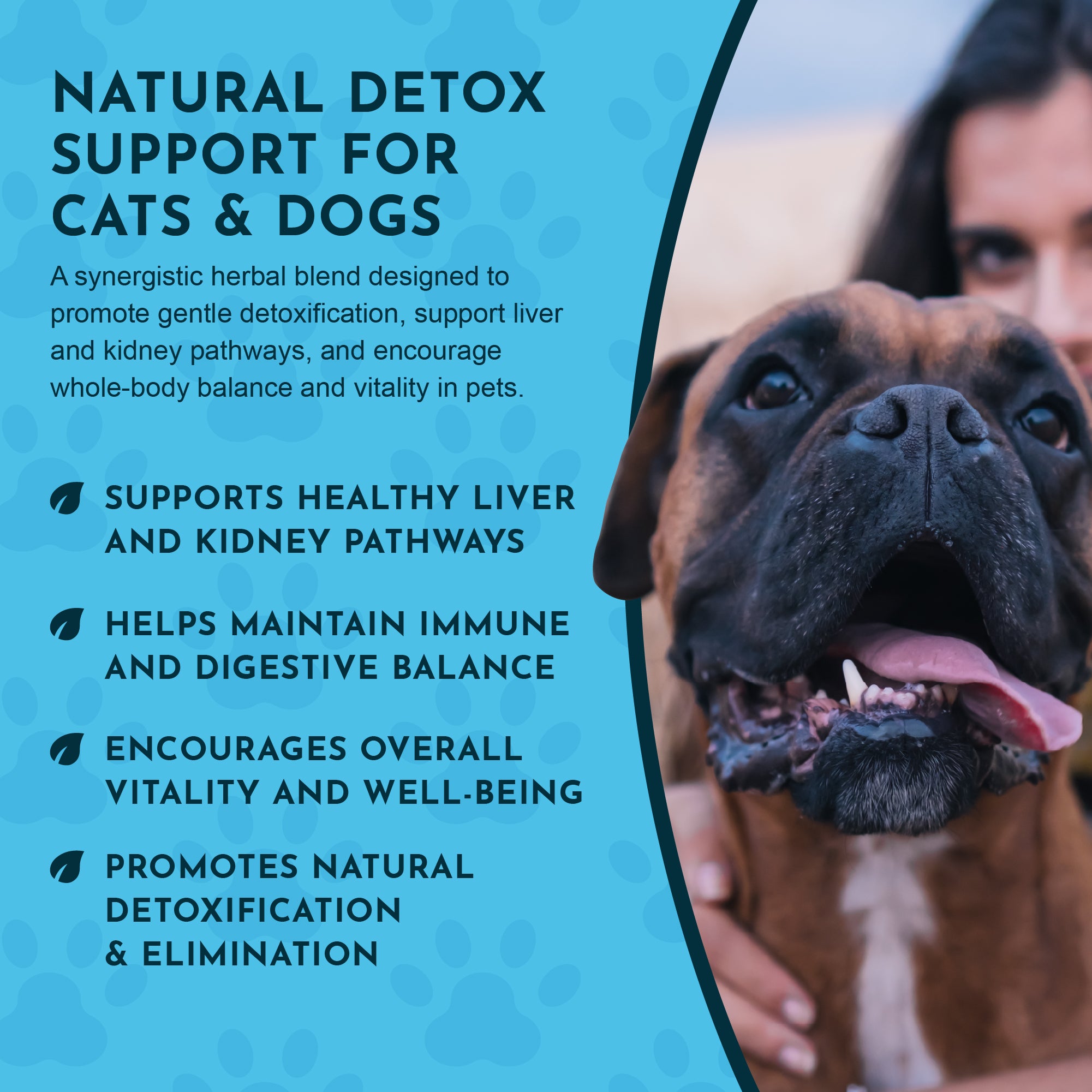 Animal Essentials Detox Blend Liver Support for Dogs & Cats