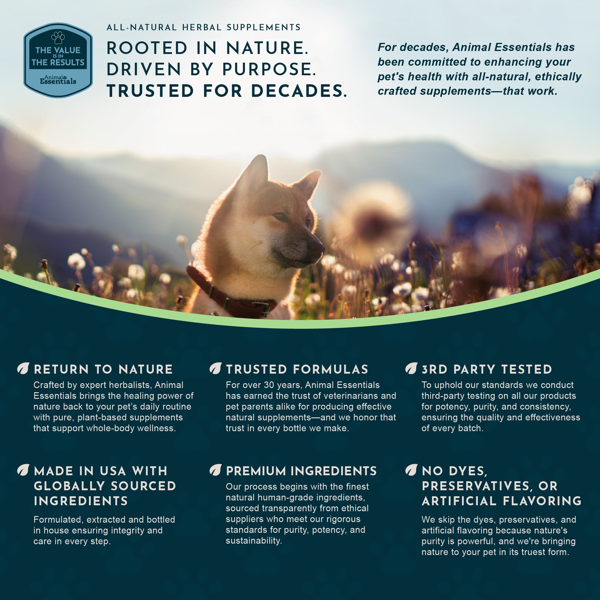 Animal Essentials Detox Blend Liver Support for Dogs & Cats