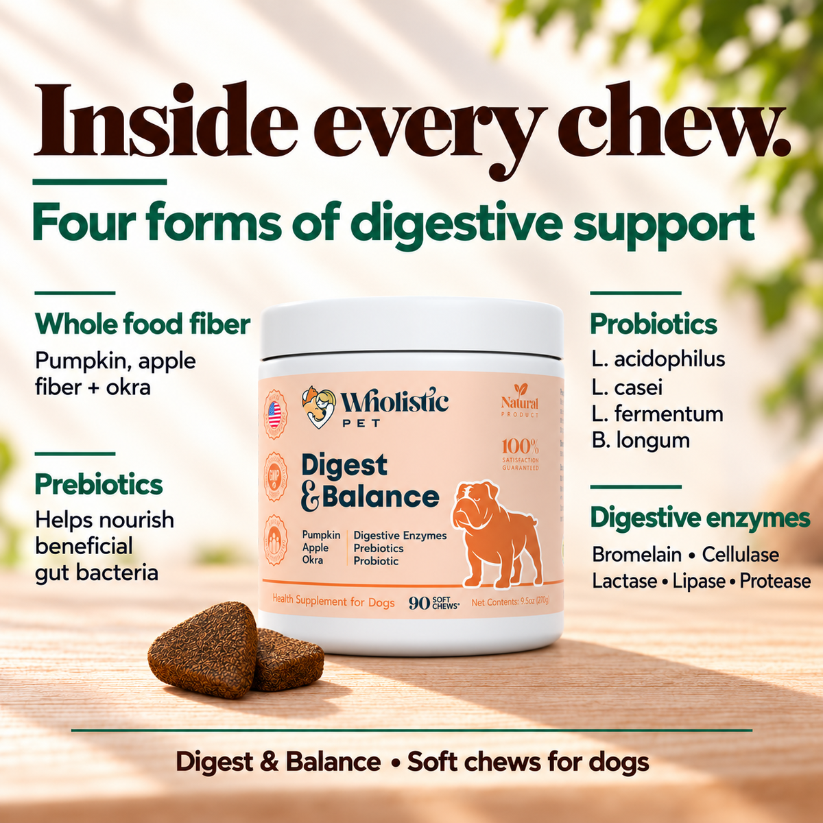 Wholistic Pet Digest and Balance Soft Chews