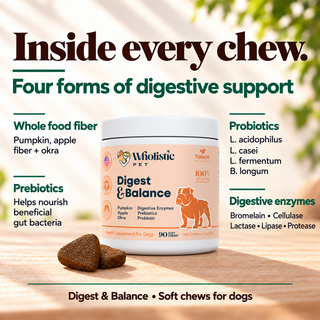 Wholistic Pet Digest and Balance Soft Chews