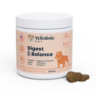 Wholistic Pet Digest and Balance Soft Chews