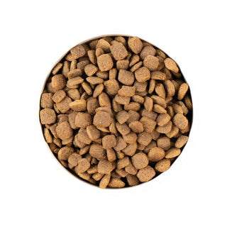 Earthborn Grain-Free Coastal Catch