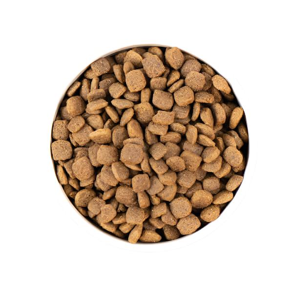 Earthborn Grain-Free Coastal Catch
