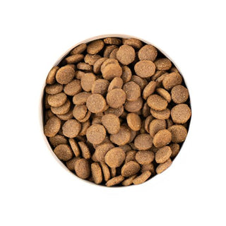 Earthborn Grain-Free Great Plains Feast