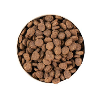 Earthborn Unrefined Smoked Salmon & Ancient Grains