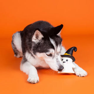 Fringe Studio Wicked Ghost Squeaker Toy