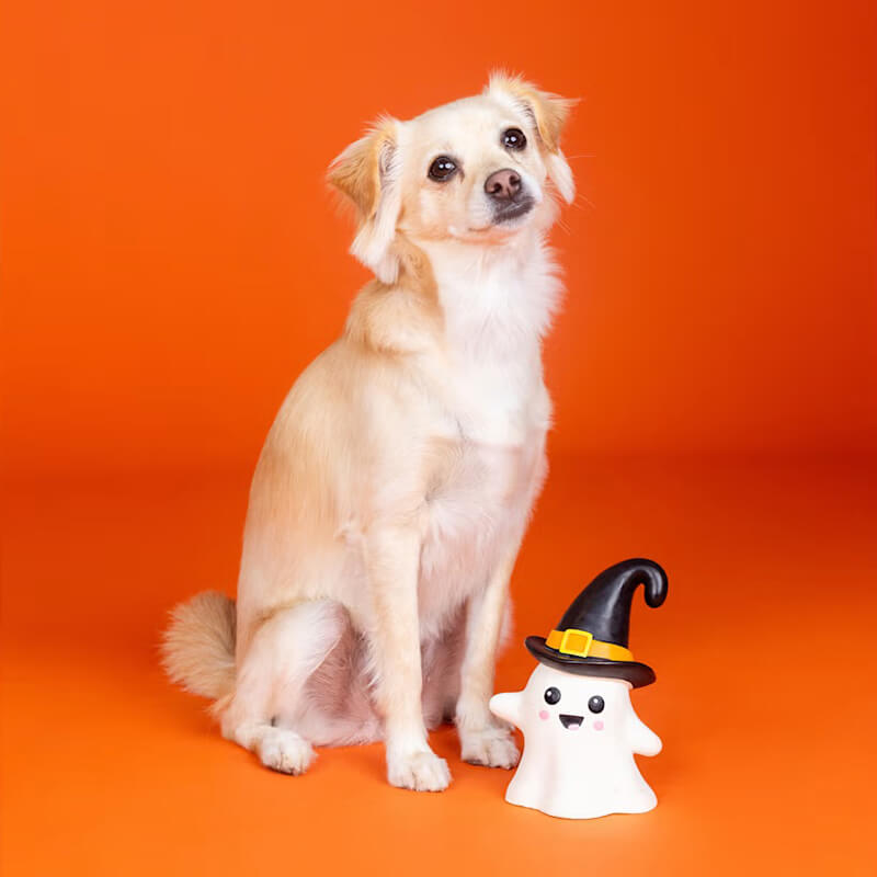 Fringe Studio Wicked Ghost Squeaker Toy