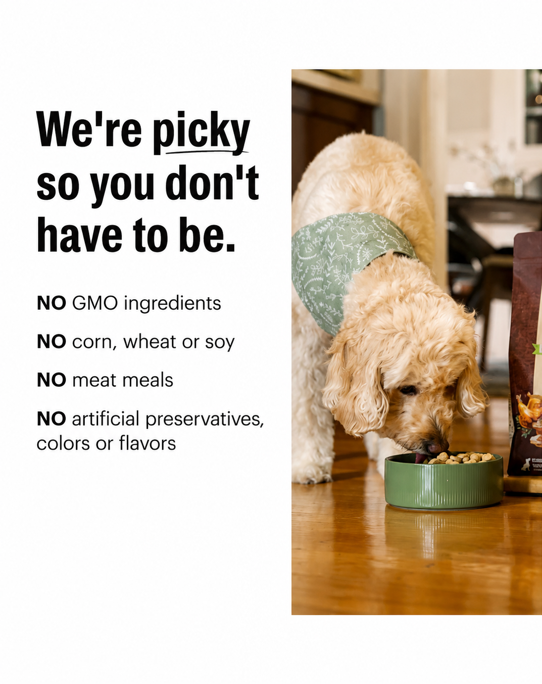 Honest Kitchen Protein Plus Beef with Superfoods Dehydrated Dog Food Topper