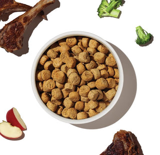 Honest Kitchen Clusters Grain-Free Lamb