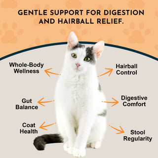 Animal Essentials Hairball Relief Tincture