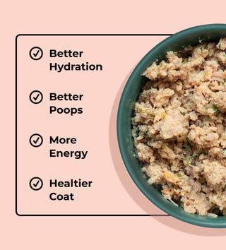 My Perfect Pet Gently Cooked Hunter's Turkey & Salmon