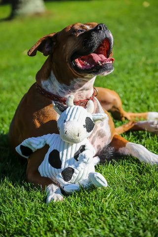 Hugglehounds Knottie Cow