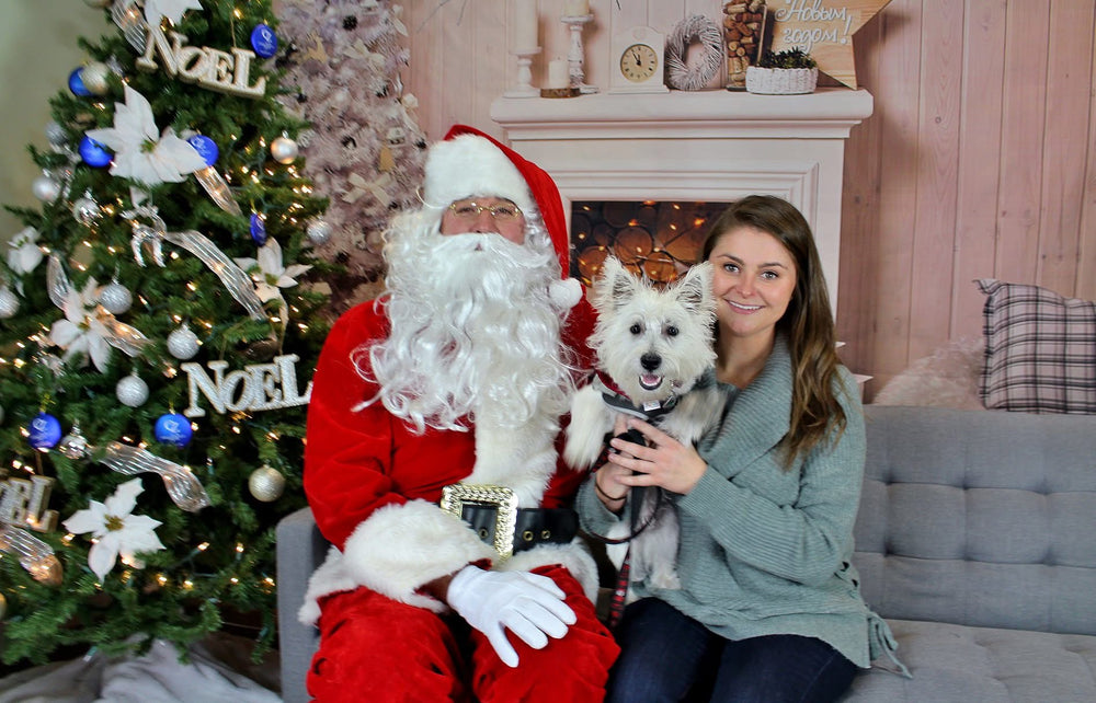 Photos with Santa