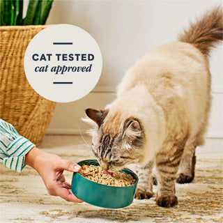 Instinct Cat FreshDried Pate Chicken