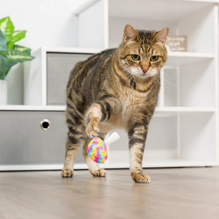 Huxley & Kent Cat I'm Sweet Lollipop