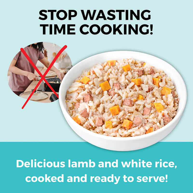 Koha Bland Diet Lamb & Rice