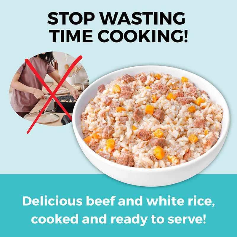 Koha Bland Diet Beef & Rice