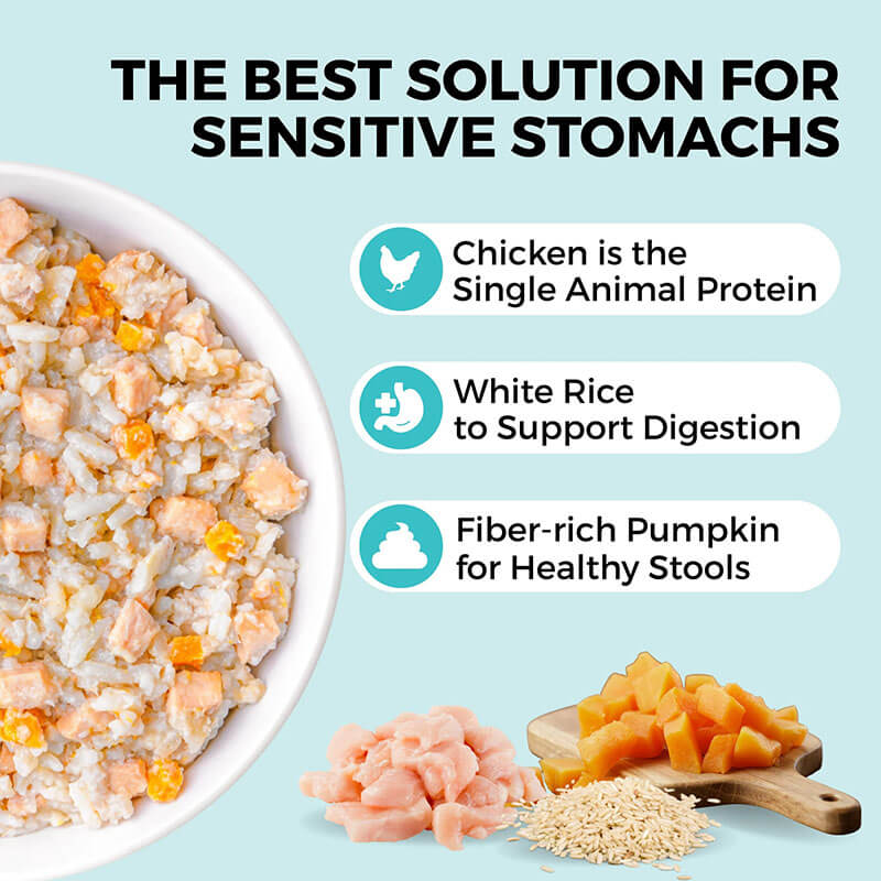 Koha Bland Diet Chicken & Rice