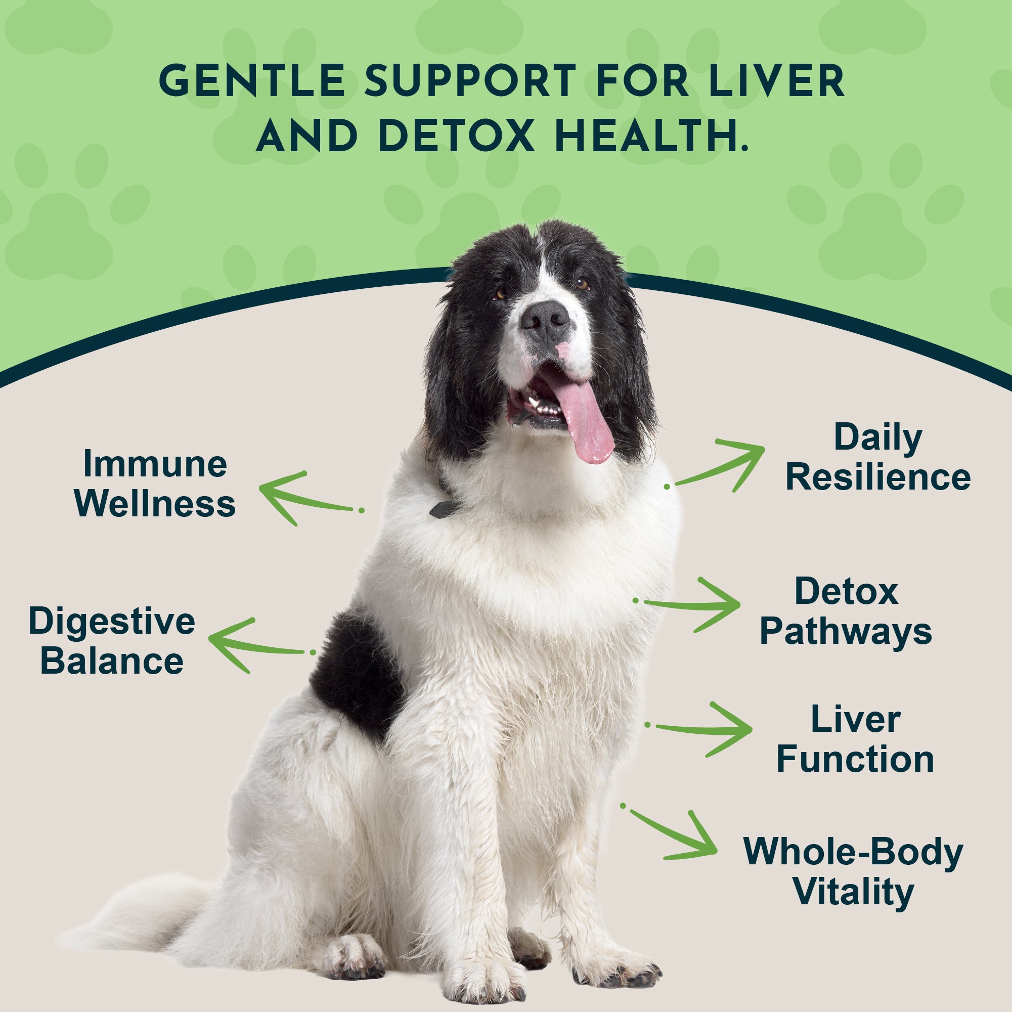 Animal Essentials Milk Thistle Herbal Tincture for Dogs & Cats